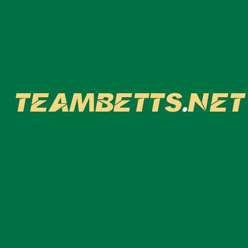 Logo da TEAMBETTS.NET